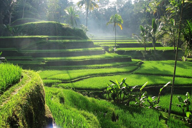Ubud Private Tour - Waterfalls, Water Temple & Rice Terraces - Sari Timbul by Kubu Bali lunch stop: plan for your own meal