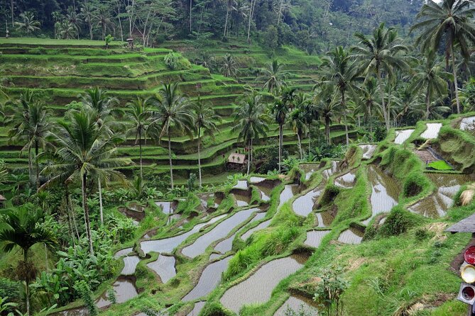 Ubud private tours - Bali Simple Wood Carving and Batik: Short, Practical Art Stops