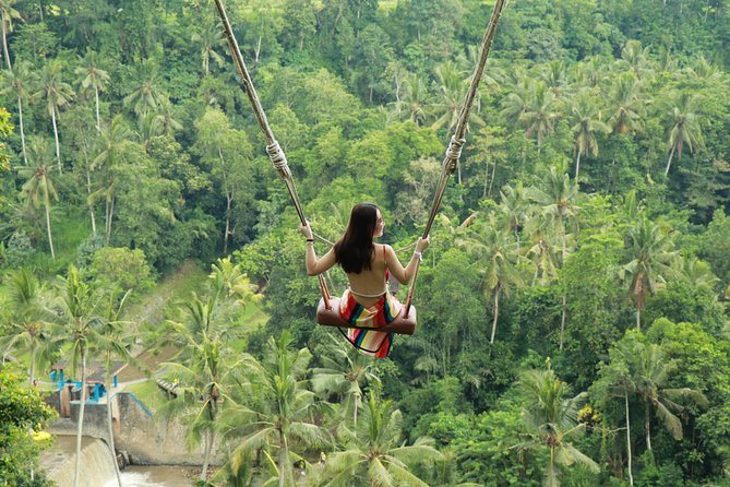Ubud Private Tours with Jungle Swing Experience - all inclusive - Key highlights worth putting on your radar
