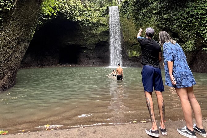 Ubud : Rice Terrace, water Temple and Waterfalls Private tour - Tegalalang Rice Terrace: UNESCO Views and Time to Walk