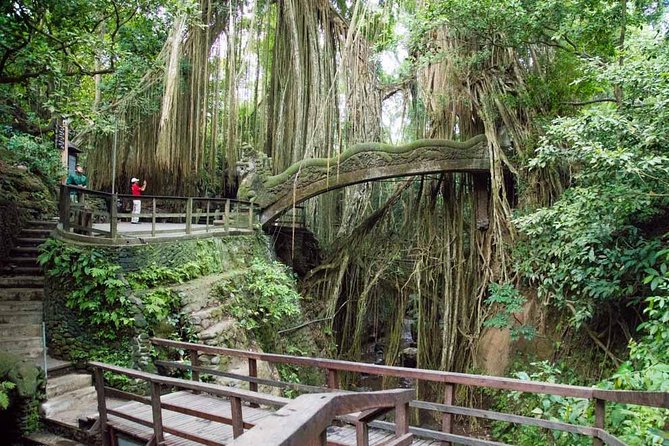 Ubud Sacred Monkey Forest & Art Village Tour - Sacred Monkey Forest Sanctuary: temples, statues, and close-up photos