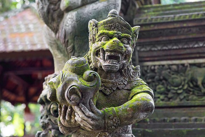 Ubud Sacred Monkey Forest & Art Village Tour - The driver/guide makes the day: what you might experience