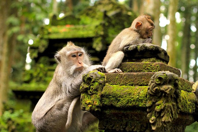 Ubud Sacred Monkey Forest & Art Village Tour - Mas Carving Center: why wood carving is a whole village identity