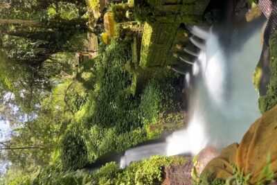 Ubud Shamanic Healing and Purification Ceremony - Mengening Temple and the melukat ritual: holy spring bathing in Saraseda