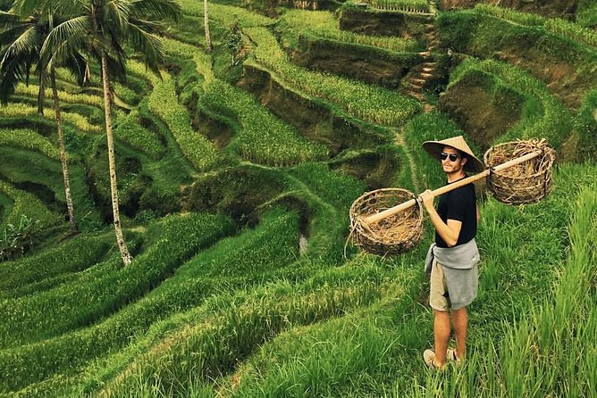 Ubud Sightseeing, Holy Water Temple & Waterfall - How the day flows: 7:00–8:00 starts, 5–7 hours total