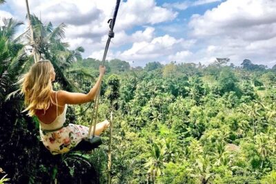 Ubud Sightseeing, Holy Water Temple & Waterfall - Price and what you really get for $40