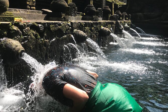 Ubud Sightseeing, Holy Water Temple & Waterfall - A final hour back around Ubud: getting your bearings