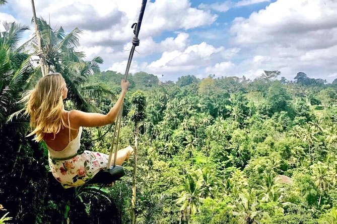 Ubud Sightseeing, Holy Water Temple & Waterfall - Price and what you really get for $40