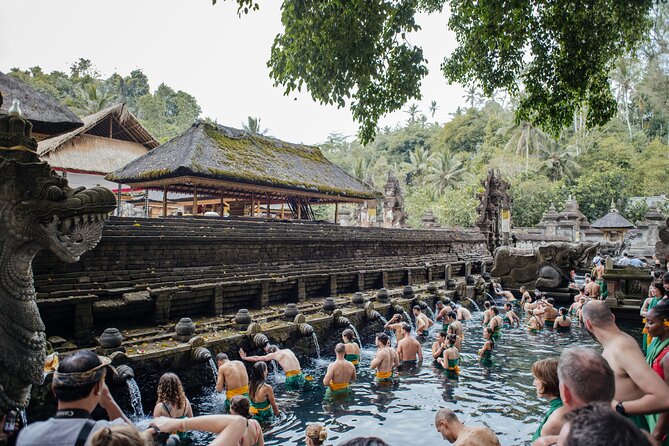 Ubud Small Group Tour: Monkey Forest, Tegalalang Rice Terraces and more - A practical Ubud day from Kuta (and why the timing works)