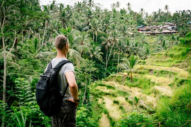 Ubud Small Group Tour: Monkey Forest, Tegalalang Rice Terraces and more - Ubud Traditional Art Market and lunch: fuel up like a local