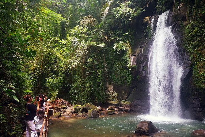 UBUD Spring Temple, Waterfall, Rice Terraces Private Tour - Why this private Ubud day feels easier than DIY