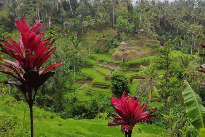 UBUD Spring Temple, Waterfall, Rice Terraces Private Tour - Ulu Petanu Waterfall: the stop that calls for a towel and change clothes