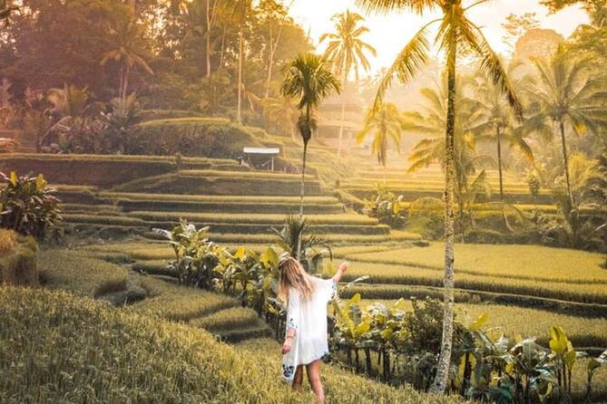 UBUD Spring Temple, Waterfall, Rice Terraces Private Tour - Price and value: what $129.99 buys in a private 5–7 hour day