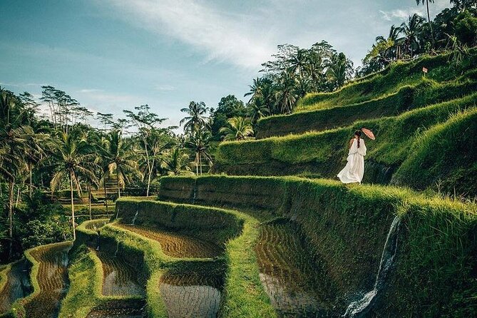 Ubud: Swing - Monkey Forest - Waterfall - Temple - Rice Terraces - Art Crafts - Why this Ubud day feels easy (even when it’s not short)