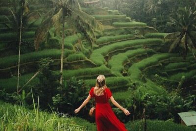 Ubud: Swing - Monkey Forest - Waterfall - Temple - Rice Terraces - Art Crafts - The route: how each stop works in real life