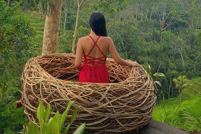 Ubud: Swing - Monkey Forest - Waterfall - Temple - Rice Terraces - Art Crafts - What to bring so the day doesn’t turn annoying