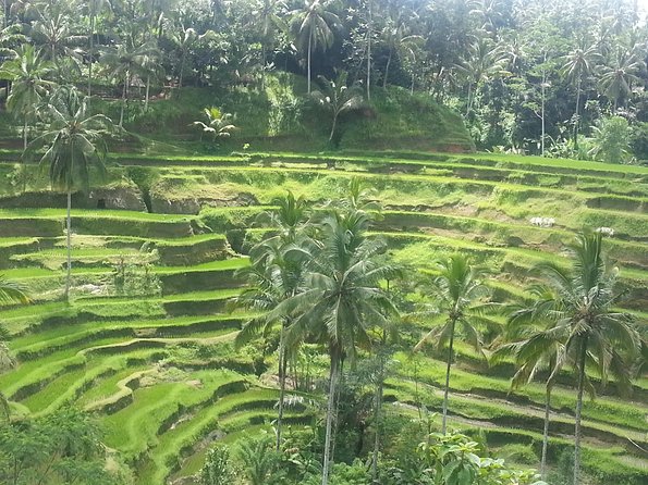 Ubud Tegalalang Rice Teracce & Tanah Lot Tour - Tegenungan Waterfall: the most physical stop on the loop