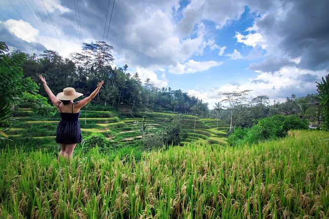 UBUD : Temple and Waterfall All Inclusive Day Tour - Coffee Luwak agrotourism pass-by and how to use the time