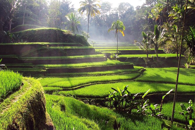 UBUD : Temple and Waterfall All Inclusive Day Tour - Price and value: what you’re really paying for
