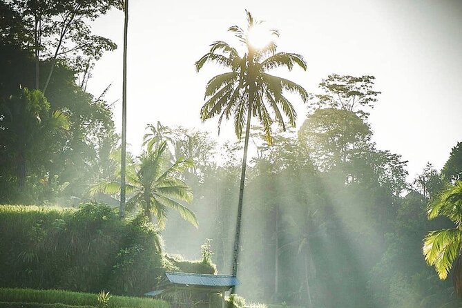 Ubud Temples, Waterfalls, Rice Terraces & Balinese Culture - Stop 4: Tukad Cepung Waterfall and the Jungle-Wet Reality
