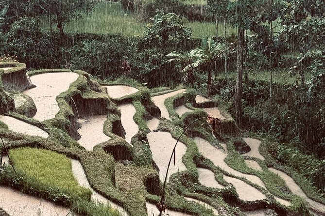 Ubud Top Tours to Discover Bali’s Cultural and Natural Wonders - Key Highlights You’ll Actually Care About