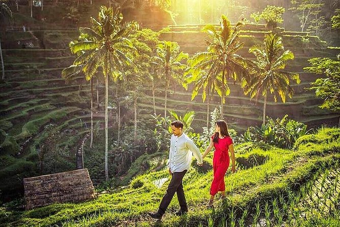 Ubud Tour : Best of Ubud with All inclusive - Why this Ubud Best-of day works so well