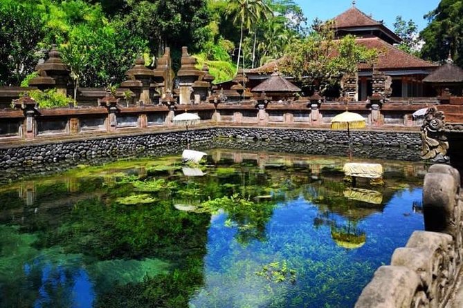 Ubud Tour : Best of Ubud with All inclusive - Tegalalang Rice Terrace: time for the classic pose