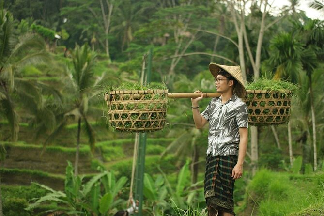 Ubud Tour : Best of Ubud with All inclusive - Tirta Empul Temple: sacred springs and good etiquette