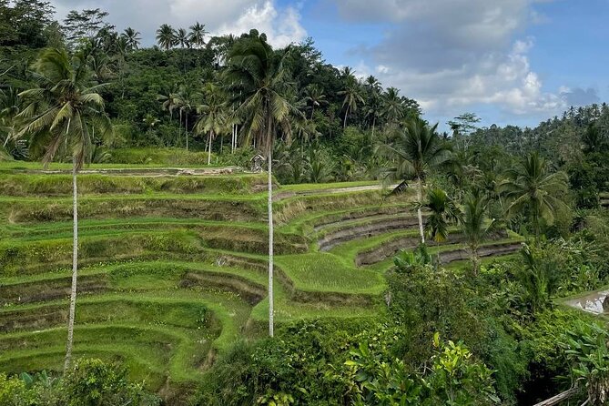 Ubud Tour - Highlight of Ubud - Traditional Tour - Getting around comfortably: A/C vehicle and bottled water