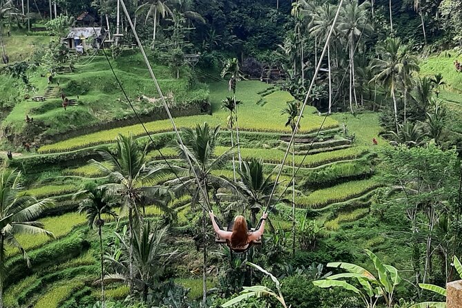 Ubud Tour - Highlights of Ubud - Stop 4: Tegalalang Rice Terrace with swing time and big photo angles