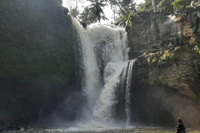Ubud Tour - Highlights of Ubud - Price and value: is $100 per person a smart deal?