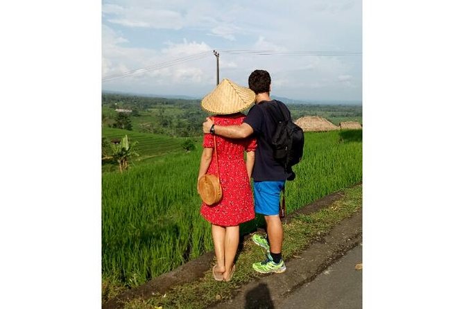 Ubud Tour Monkey Forest, Rice Terrace, Swing, Temple, Waterfall - Stop 1: Sacred Monkey Forest Sanctuary (Mandala Suci Wenara Wana)