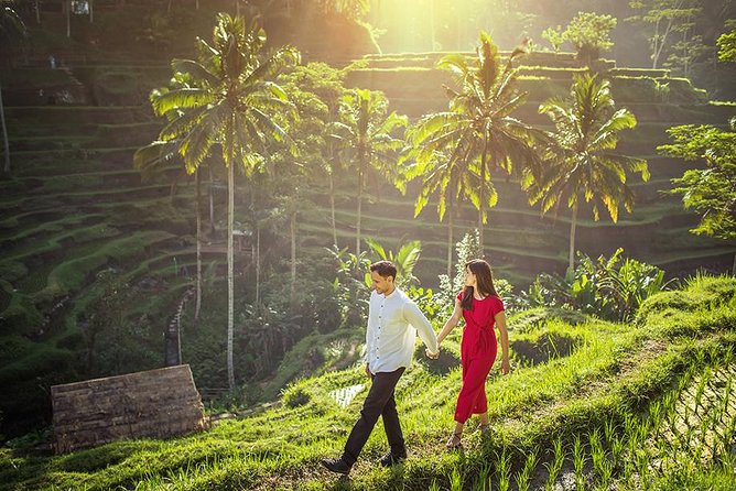 Ubud Tour - Monkey Forest, Temple, Waterfall, and Rice Terrace - A smart way to do Ubud in one day (without losing your mind)