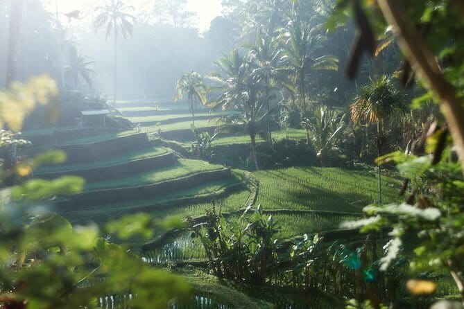 Ubud Tour Water Temple with Jungle Swing - Price and What You Really Get for $33