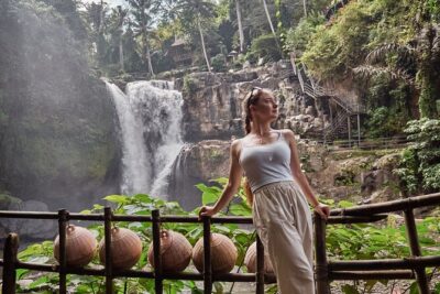 Ubud Tour Waterfall Rice Terrace Temple and Art Village - Getting around Ubud in a private A/C vehicle