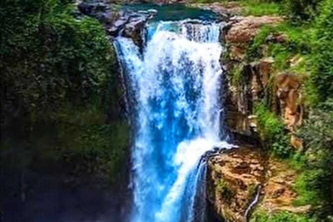 Ubud Tour with all includes - Hotel pickup and air-conditioned comfort in Ubud traffic