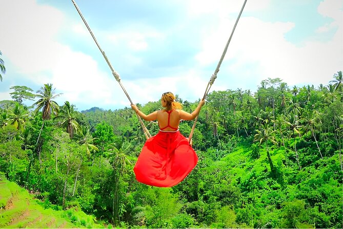 Ubud Tour with Jungle Swing and Waterfall Water Temple - Price and Logistics: What $25 Includes (and What It Doesn’t)
