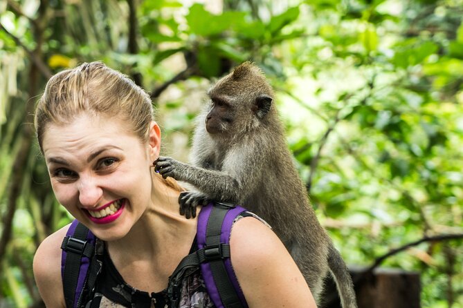 Ubud Tour with Swing, Temple, Monkey Forest, and Waterfall - Why a private driver matters for an 8–10 hour Ubud day