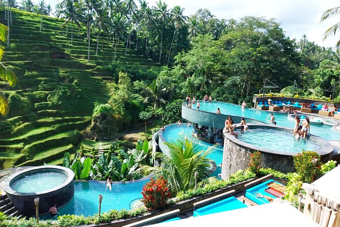 Ubud Tours and Cretya Day Club Pool - Door-to-Door From Seminyak: The Real Convenience Factor