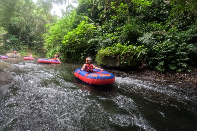 Ubud Tubing Adventure Holy Spring Temple Private Guided Tour - Price and Value: What $58.34 Actually Buys
