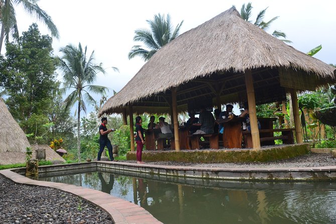 Ubud Village Sightseeing, Famous Paddy Field And Ubud Waterfall - Tirta Empul Temple: Holy Spring Water, Legend, and the melukat Ritual