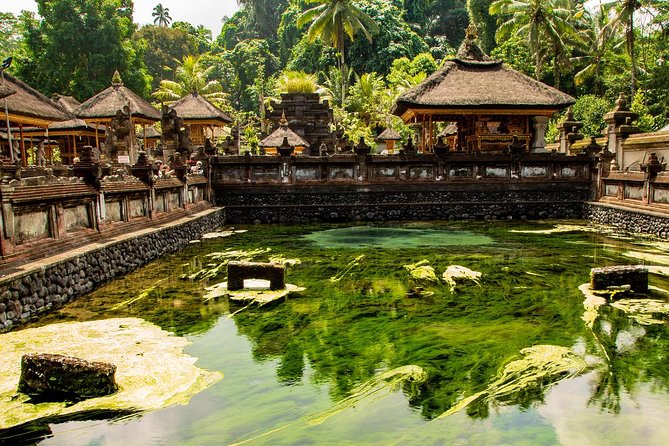 Ubud Village Sightseeing, Famous Paddy Field And Ubud Waterfall - Who This Tour Suits Best (And Who Might Want Another Option)