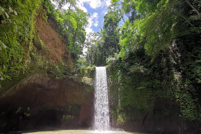 Ubud Village, Tegalalang Rice Terrace Swing, Tirta Empul Temple and Waterfafall - Price and value: $32.24 per person for a full Ubud day
