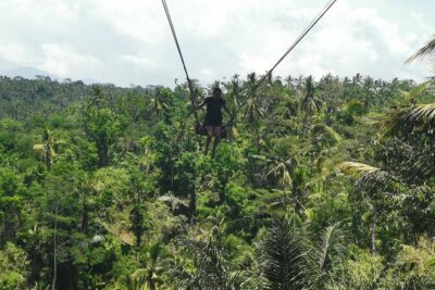 Ubud Village, Tegalalang Rice Terrace Swing, Tirta Empul Temple and Waterfafall - Your exact route: how this day stays efficient