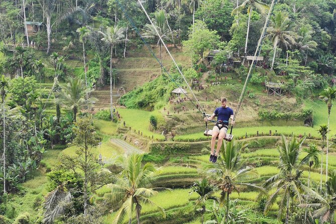 Ubud Village, Tegalalang Rice Terrace Swing, Tirta Empul Temple and Waterfafall - What makes this tour work: transport, timing, and pacing