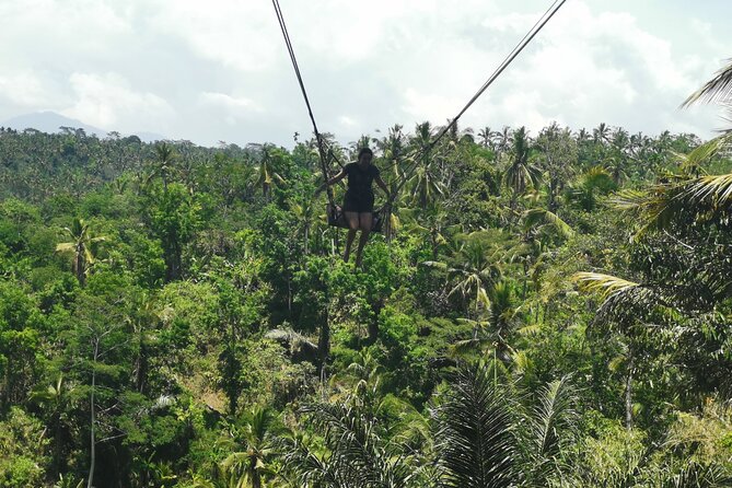 Ubud Village, Tegalalang Rice Terrace Swing, Tirta Empul Temple and Waterfafall - Your exact route: how this day stays efficient