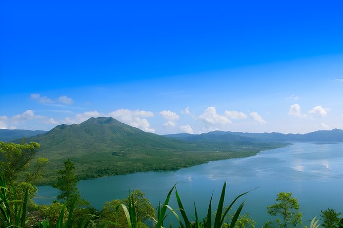 Ubud Village, Waterfall and Kintamani Volcano Tour - Ubud Palace and the Art Market: Culture on Foot, Shopping With Purpose