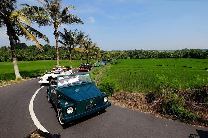 Ubud VW Safari Bali Tour - Volkswagen Classic Car Trip - Quick highlights from the Ubud VW Safari day