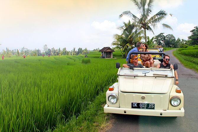 Ubud VW Safari Bali Tour - Volkswagen Classic Car Trip - Sacred Monkey Forest Sanctuary: seeing macaques in their home area