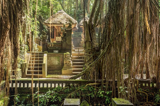 Ubud: Waterfall, Rice Terraces, and Monkey Forest Private Tour - Tegenungan Waterfall: A Natural Pool When Rain Plays Nice